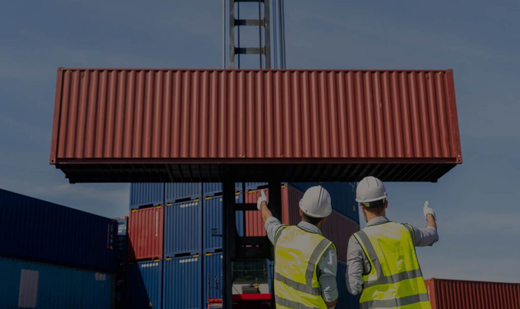Container Handling Onboard Cranes